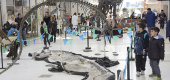 Más de 40 mil chicos ya pasaron por el Palacio Municipal de Malvinas Argentinas para vivir la Exposición Dinosaurios