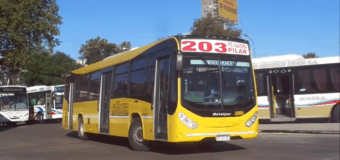 Transporte público gratuito en la provincia para las elecciones del domingo