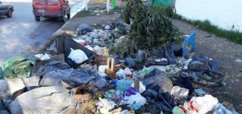 El municipio de José C. Paz trabaja por la erradicación de basurales crónicos