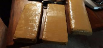 Nueve detenidos con cinco kilos de marihuana en Tigre