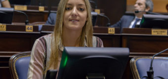 Proponen retener licencias de conducir ante faltas graves de tránsito en la provincia de Buenos Aires