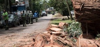 Pilar : 17.750 hogares siguen sin luz despues de la tormenta