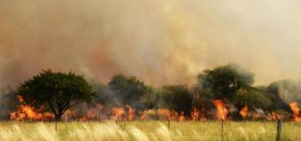 Emiten recomendaciones para prevenir incendios en el campo en provincia de Buenos Aires