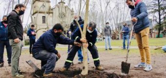San Miguel recibe la primavera con más árboles y espacios verdes