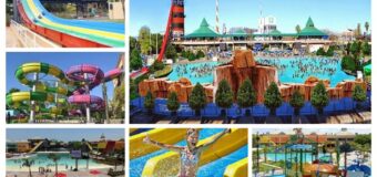 Tigre: Parque de la Costa anuncia la Temporada 2022 de Aquafan