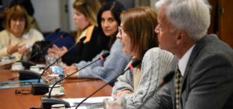 Provincia: Diputados inició el debate sobre una ley para castigar a quienes corren picadas