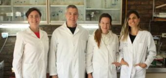 La yerba mate mate podría ayudar a prevenir el cáncer de próstata