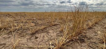 Desastre Agropecuario: cuáles son los 13 partidos bonaerenses que serán declarados en emergencia por sequía