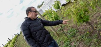 Axel Kicillof promulgó la ley “Vino Buenos Aires” impulsada por el senador Luis Vivona
