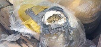 MORENO: INCAUTARON MAS DE 170 kg DE MARIHUANA