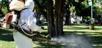 PROVINCIA PROFUNDIZA OPERATIVOS DE PREVENCIÓN CONTRA EL DENGUE