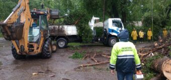 El municipio de Malvinas Argentinas continúa trabajando tras el intenso temporal