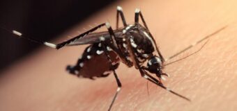 Continúa la campaña del Municipio de Pilar para prevenir el dengue
