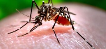 Ya son 25 los municipios bonaerenses «en brote» de dengue, entre ellos José C. Paz y Malvinas Argentinas