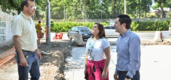 Nardini inició otra obra con inversión municipal