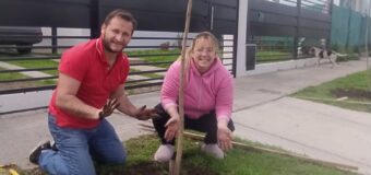 San Miguel lanzó un programa para que los vecinos “apadrinen” árboles del espacio público