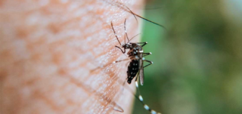 En visperas del verano, José C. Paz lleva adelante talleres de prevención contra el dengue, en jardines de infantes