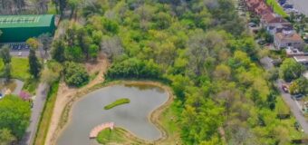 Reserva natural de San Fernando: un paseo entre la flora y la fauna nativa junto al río Luján
