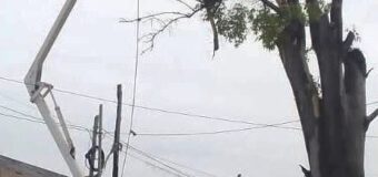 Operativos de limpieza y emprolijamiento para mejorar los espacios verdes de José C. Paz