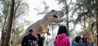Miles de pilarenses se reencontraron con los dinosaurios en el Pellegrini