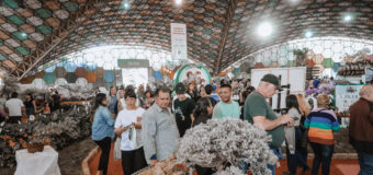 62ª Fiesta Nacional de la Flor en Escobar: entradas a la venta con beneficios para vecinos