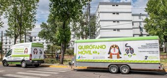 Zoonosis en los barrios: nuevo operativo gratuito de castración y vacunación en Plaza Carlos Gardel